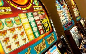 slots 13.com Fortune Ox